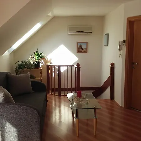 Biserka Apartman Daire *