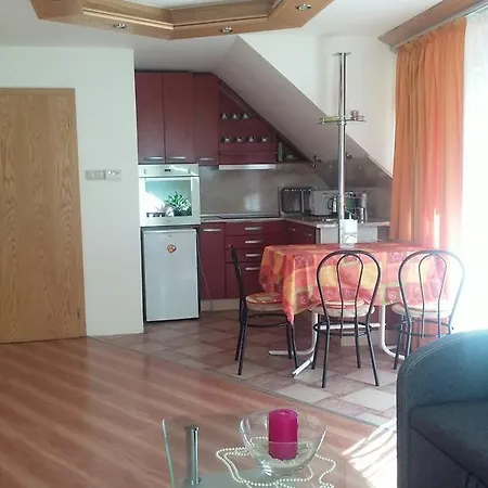 Biserka Apartman アパート ペーチ